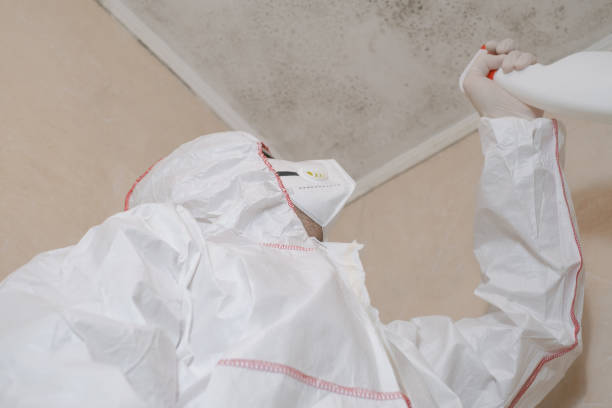 Best Crawl Space Mold Removal  in Breckenridge Hills, MO