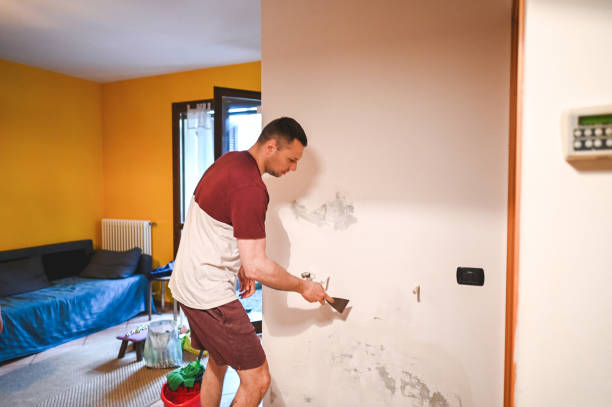 Best Commercial Mold Removal  in Breckenridge Hills, MO